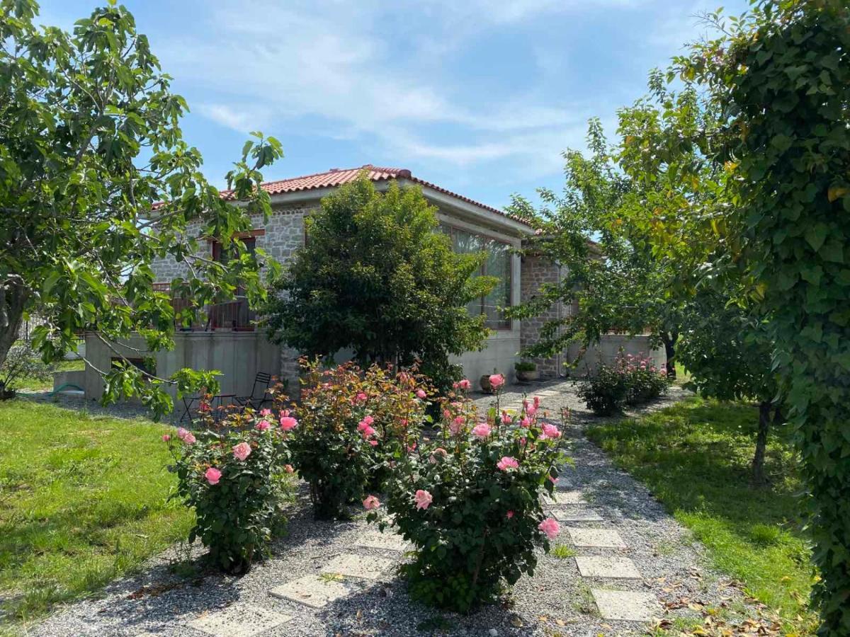 Kampus Luxury Villas Трикала Екстер'єр фото